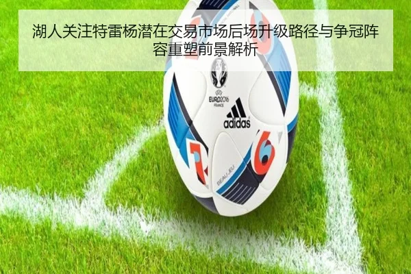 湖人关注特雷杨潜在交易市场后场升级路径与争冠阵容重塑前景解析